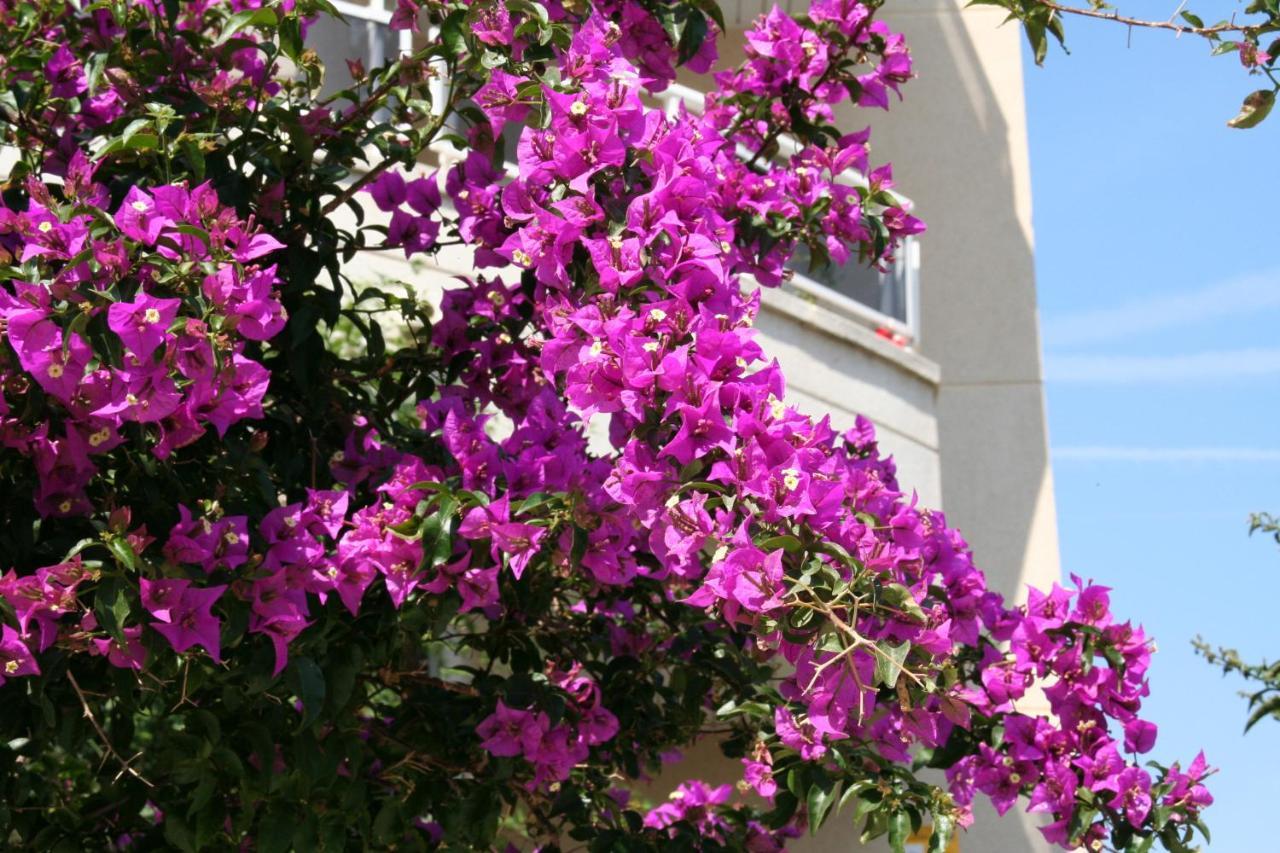R142 Manila Resort Central Calafell Dış mekan fotoğraf
